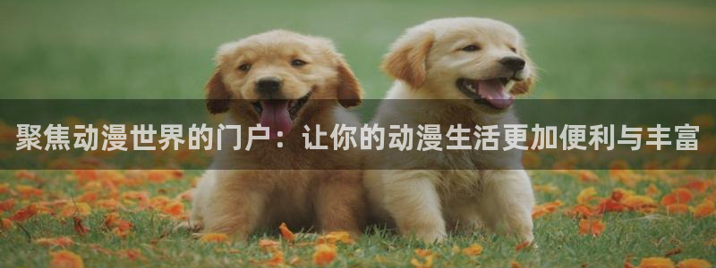 ova火狼动漫网