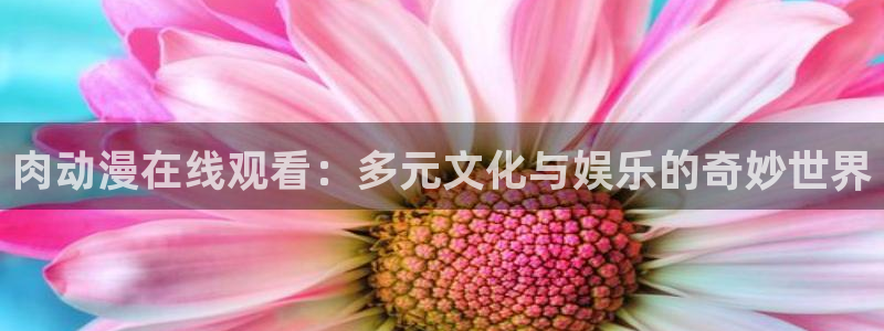 星星动漫网火狼