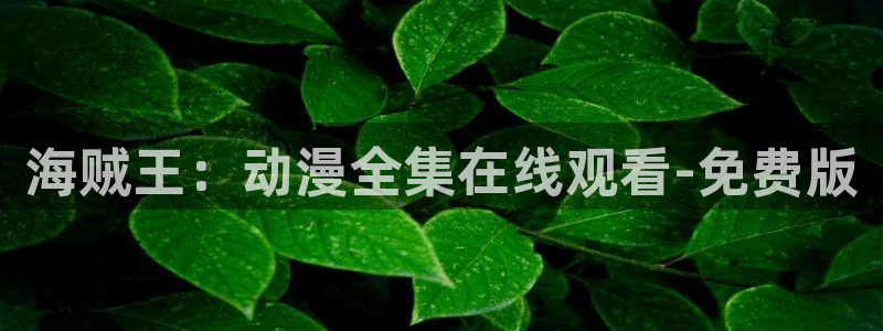 火狼动漫网在线观看动漫：海贼王：动漫全集在线观看-免费版