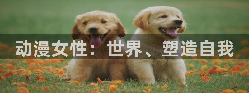 火狼动漫官网入口