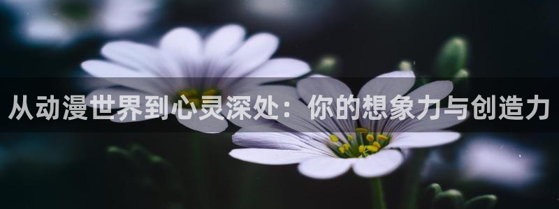 火狼动漫网观看在线