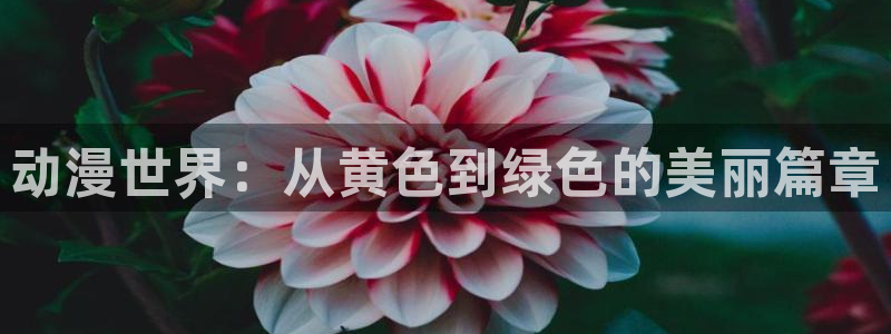 火狼动漫网在线观看动漫：动漫世界：从黄色到绿色的美丽篇章
